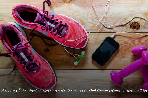 ورزش، راهکار حیاتی برای جلوگیری از پوکی استخوان در سالخوردگی