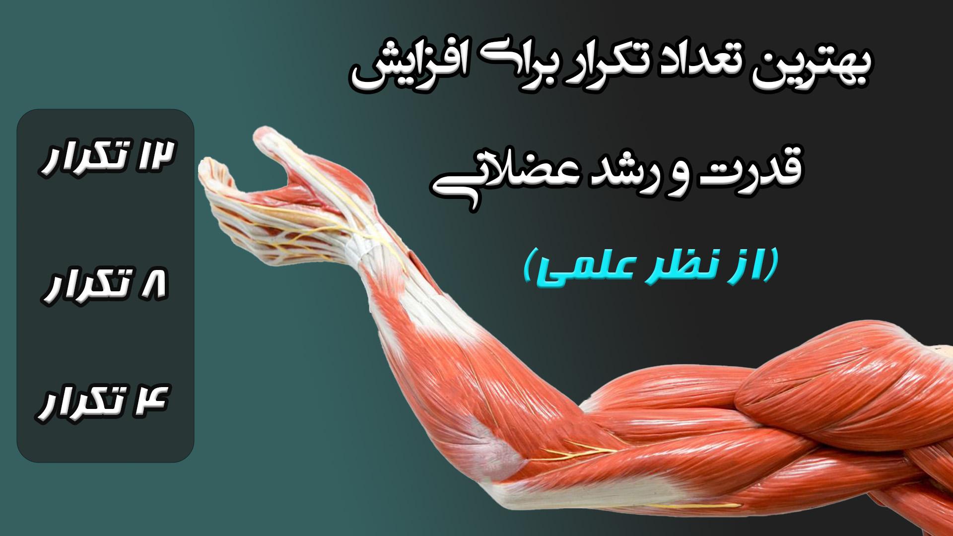 - توصیههای عملی برای بهینه سازی تمرینات و نتایج