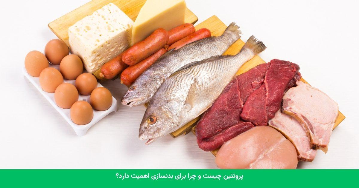پرهیز از زیاده روی در مصرف پروتئین: دستیابی به تعادل
