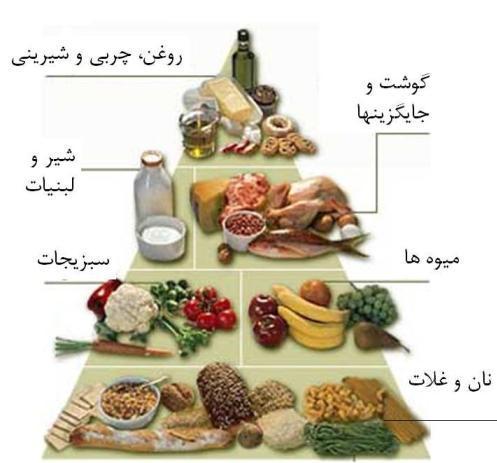 ۳- اهمیت⁣ تنوع و ⁤تعادل​ در تغذیه کودکان و نوجوانان
